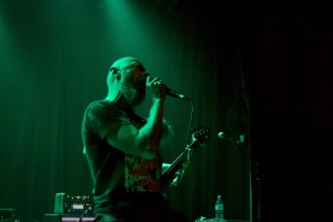 Photo 02-Tigerleech.jpg