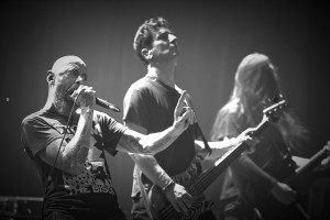 Photo 05-Tigerleech.jpg